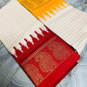 traditional saari 2 (copy)